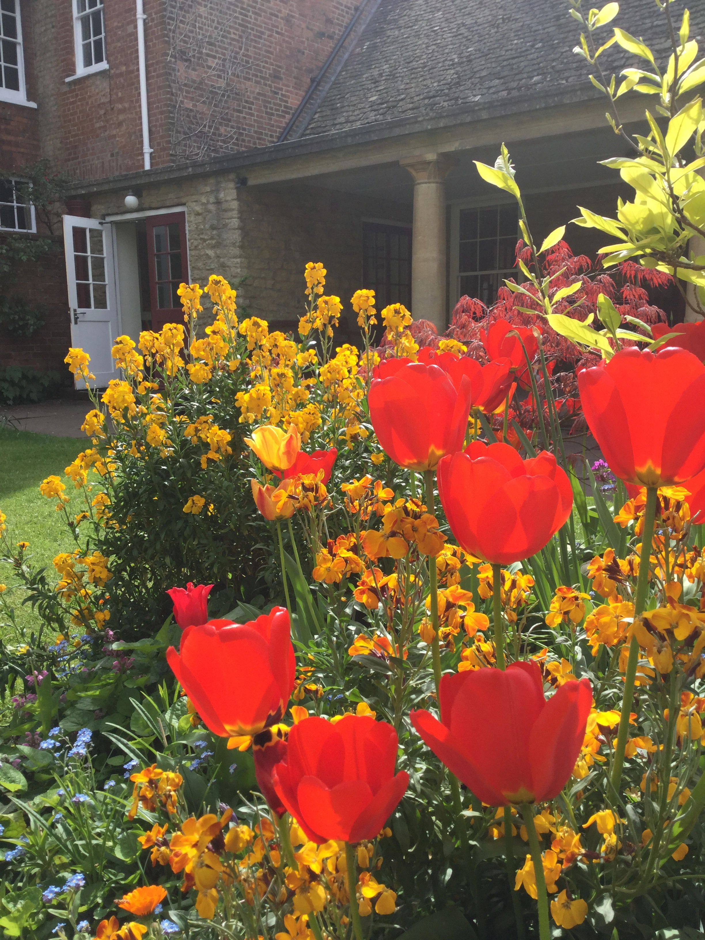 Spring flowers outside Oxford Meeting House